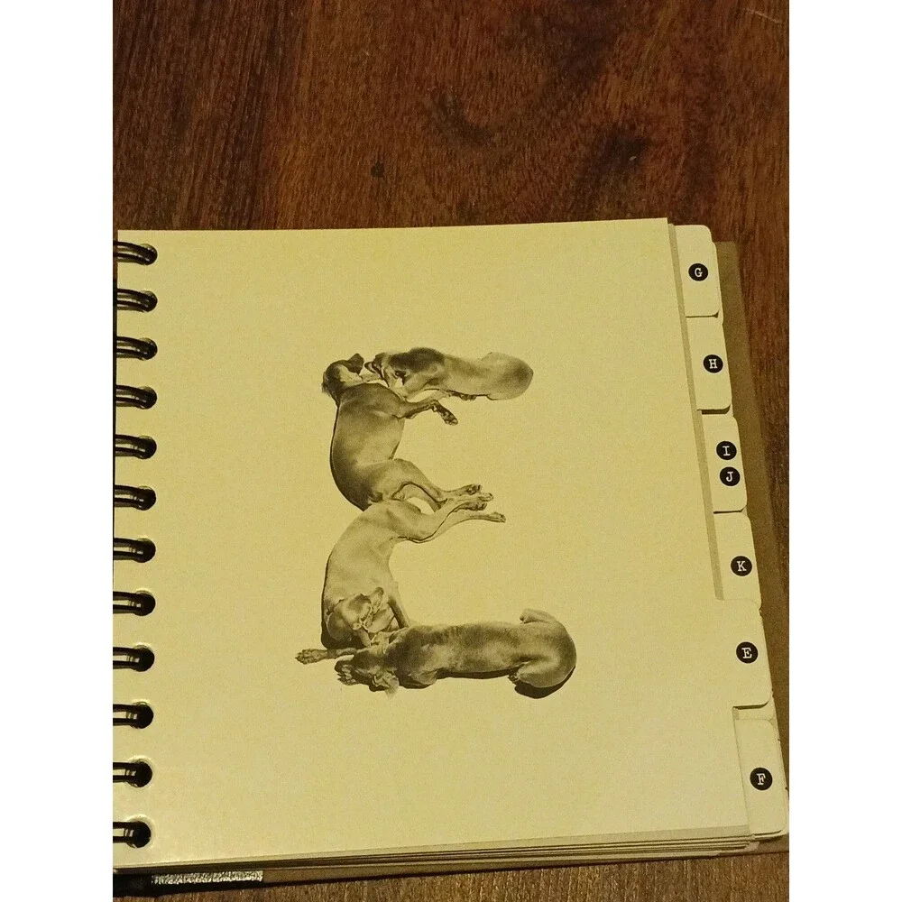 William Wegman's Fay's Friends Address Book